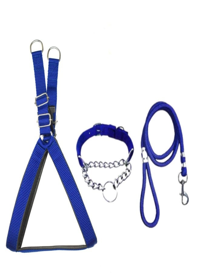 KittuPet طقم طوق خنق للكلاب من الفولاذ المقاوم للصدأ عالي الجودة من KittuPet، مصنوع من النايلون، سهل التحكم، مزود بمشبك، وحزام صدر للكلاب، وحبل تدريب متين منسوج يدويًا. (كبير، أزرق-أسود) - Image 1